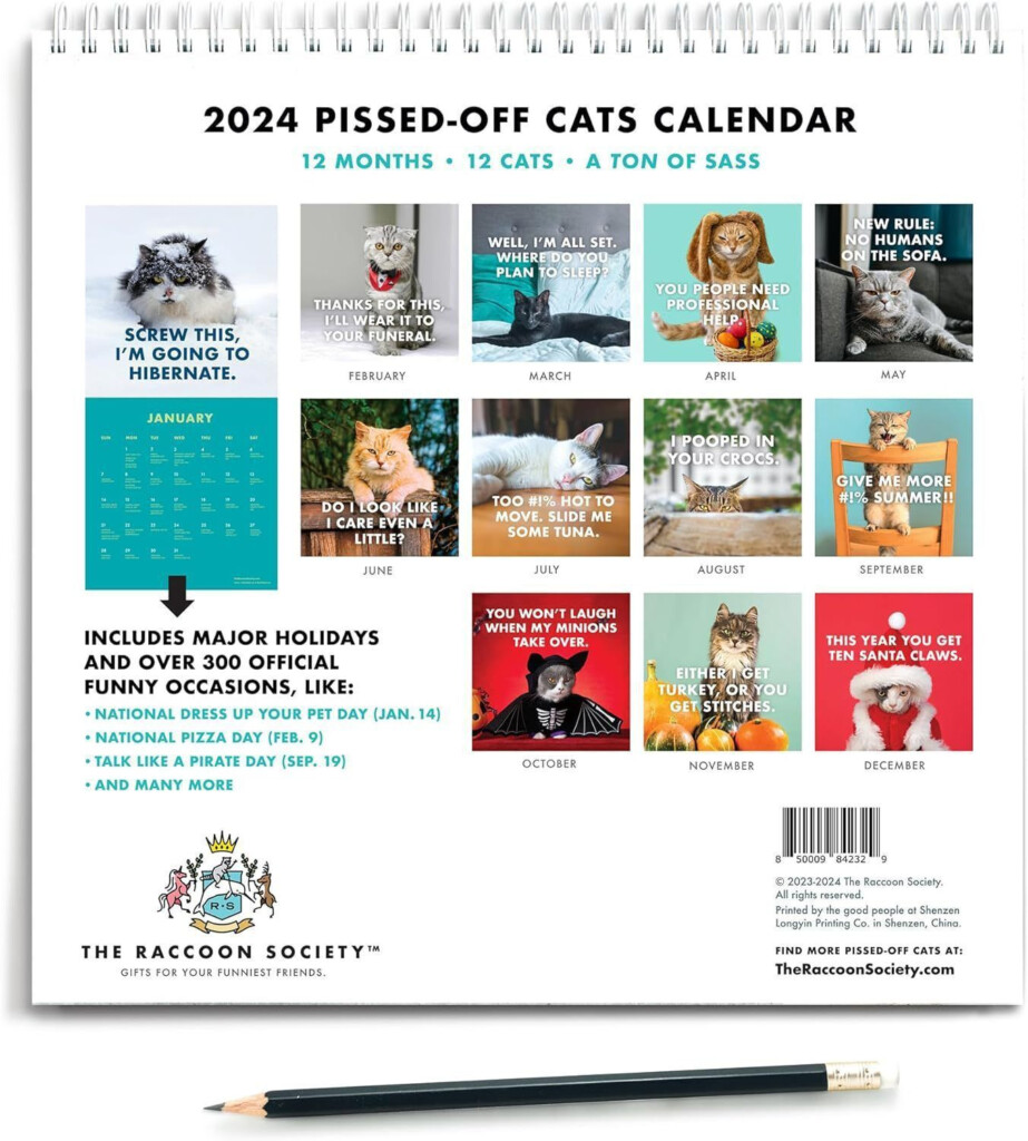 Pissed Off Cats Calendar 2024 Jody Millisent