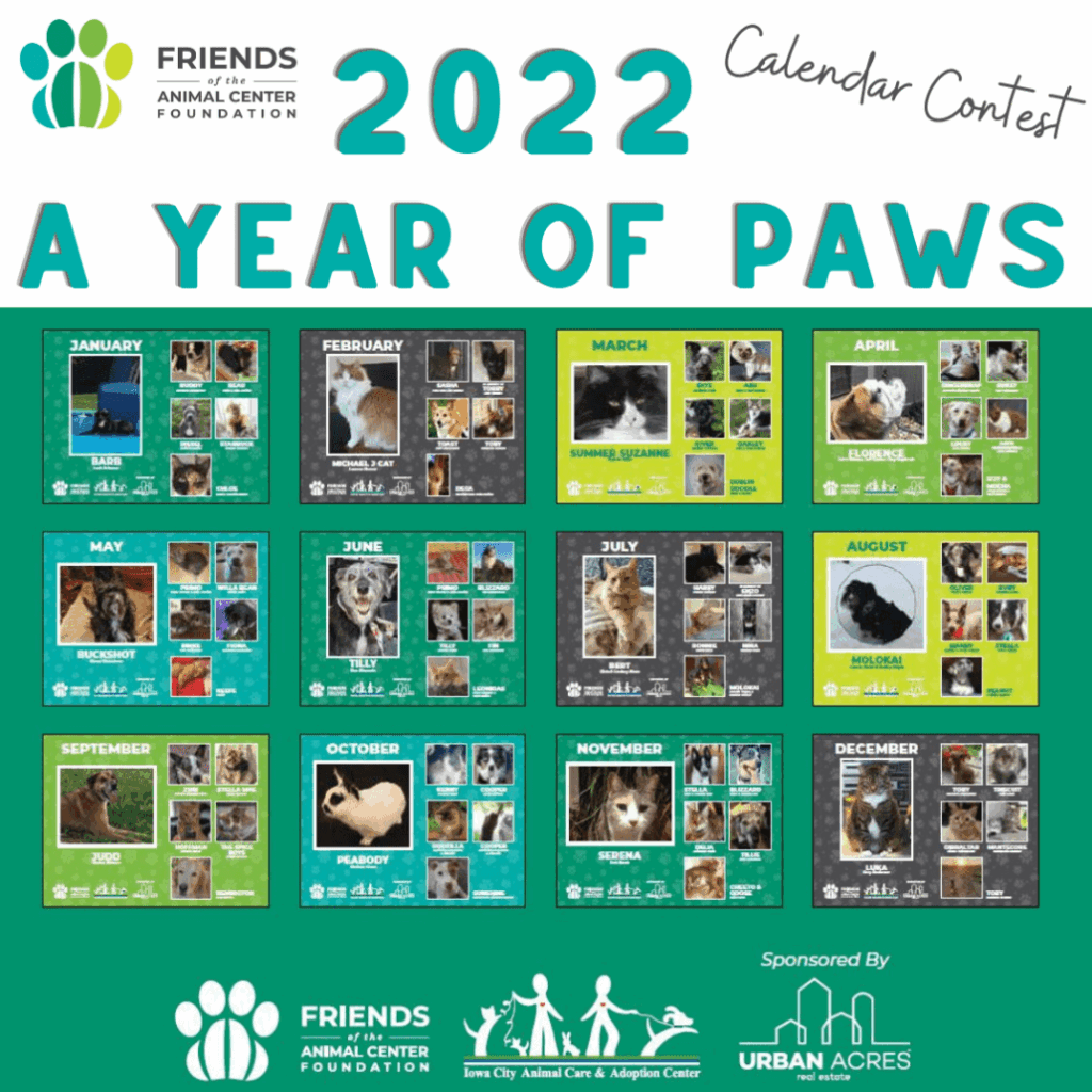 Praise My Pet Calendar 2025 Pictures Delia Terrijo