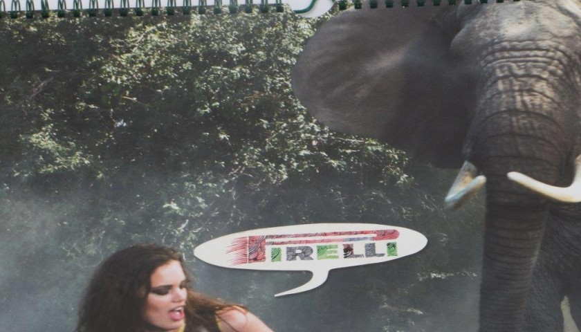  quot Pirelli 2009 quot Calendar By Peter Beard CharityStars