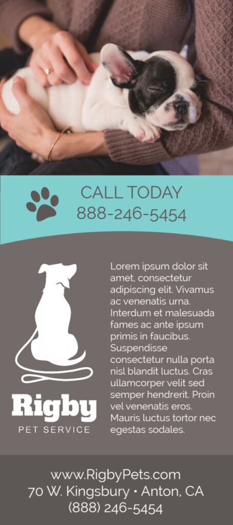 Reliable Pet Sitting Flyer Template MyCreativeShop