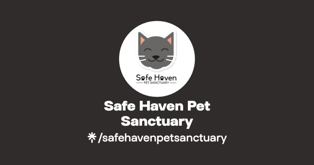 Safe Haven Pet Sanctuary Instagram Facebook TikTok Linktree