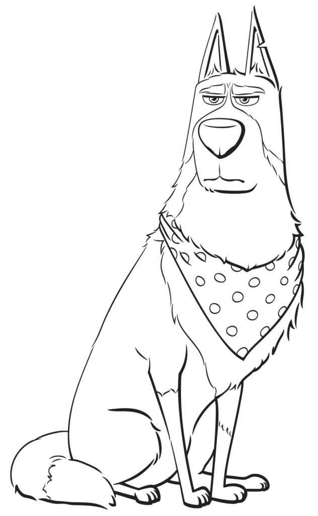 Secret Life Pets Coloring Pages