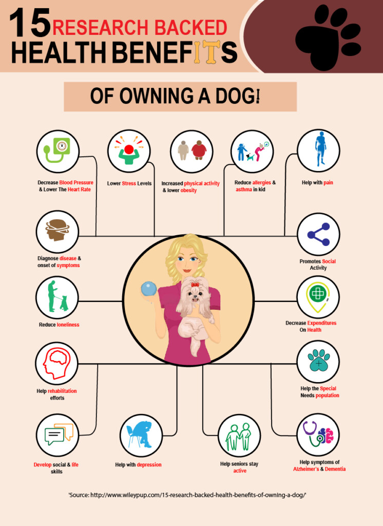 See 15 Health Benefits Of Pet Ownership In This Informational Graphic 
