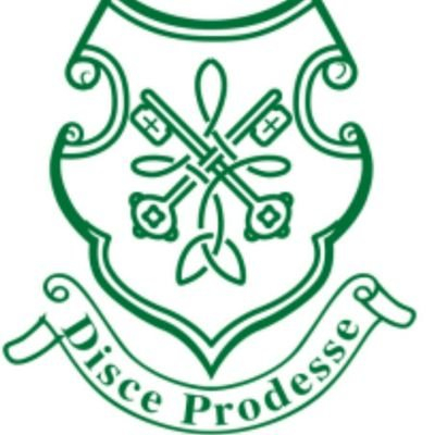 St Peter 39 s College On Twitter quot Our Meitheal Leaders Who Received 