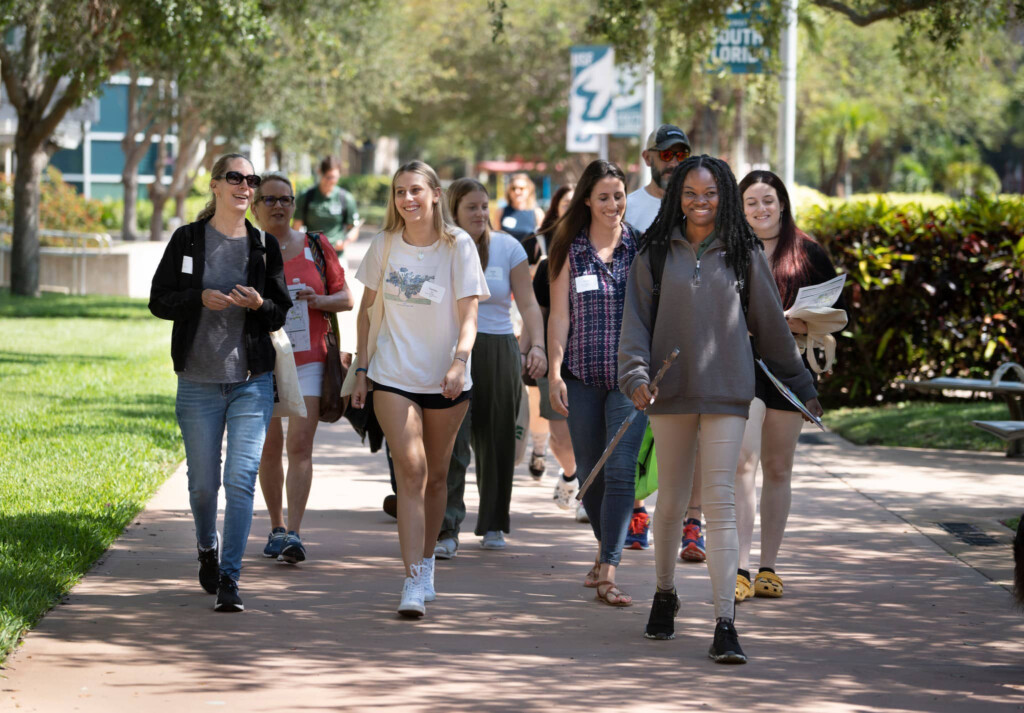 Summer Break Not At USF St Petersburg St Pete Catalyst