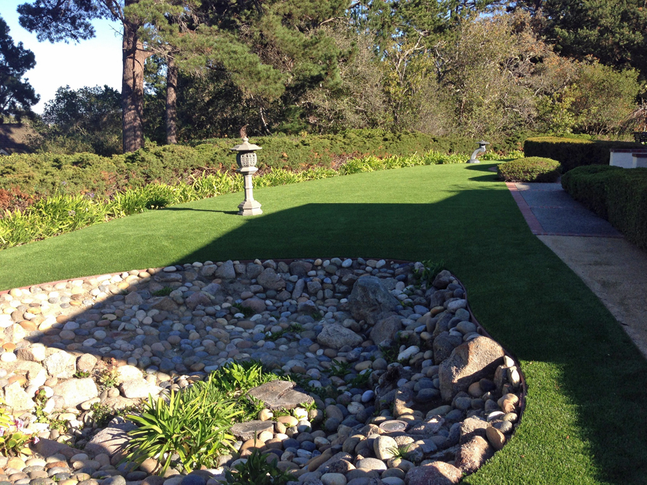Synthetic Grass White Rock New Mexico Pet Turf Backyard Design