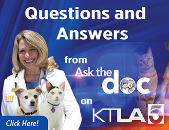 The Lucy Pet Foundation Free Spay And Neuter Mobile Clinic