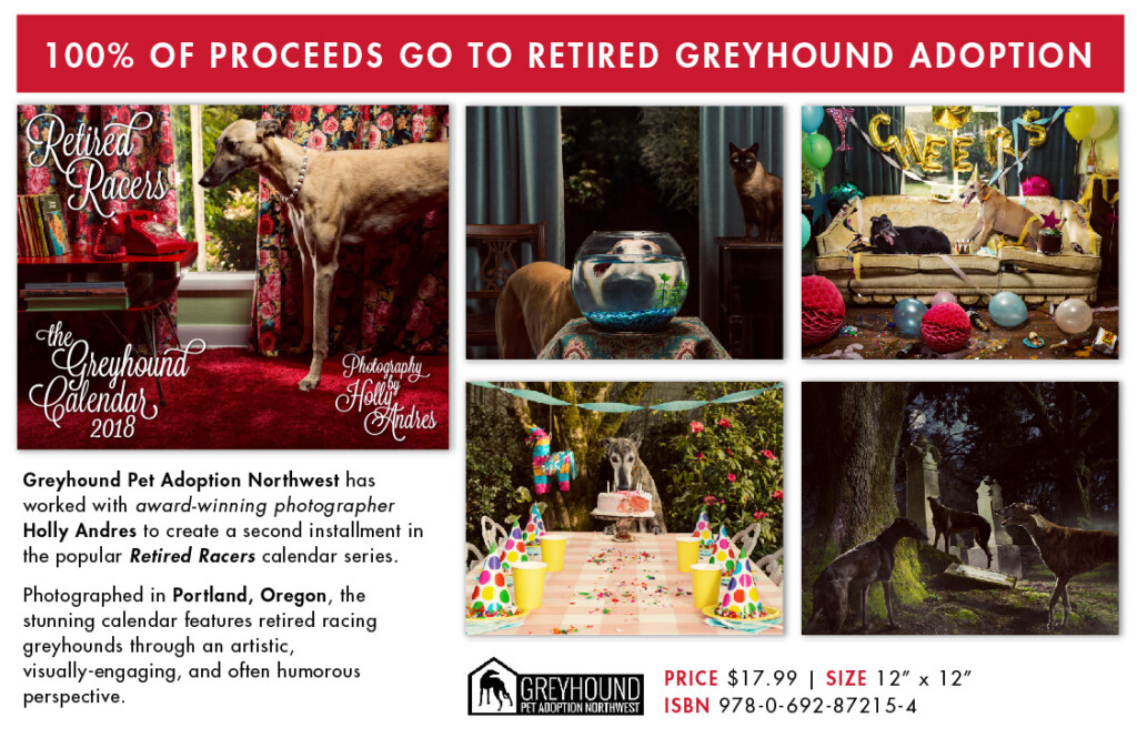 THE RETIRED RACERS CALENDAR BRANDON VAN BUSKIRK