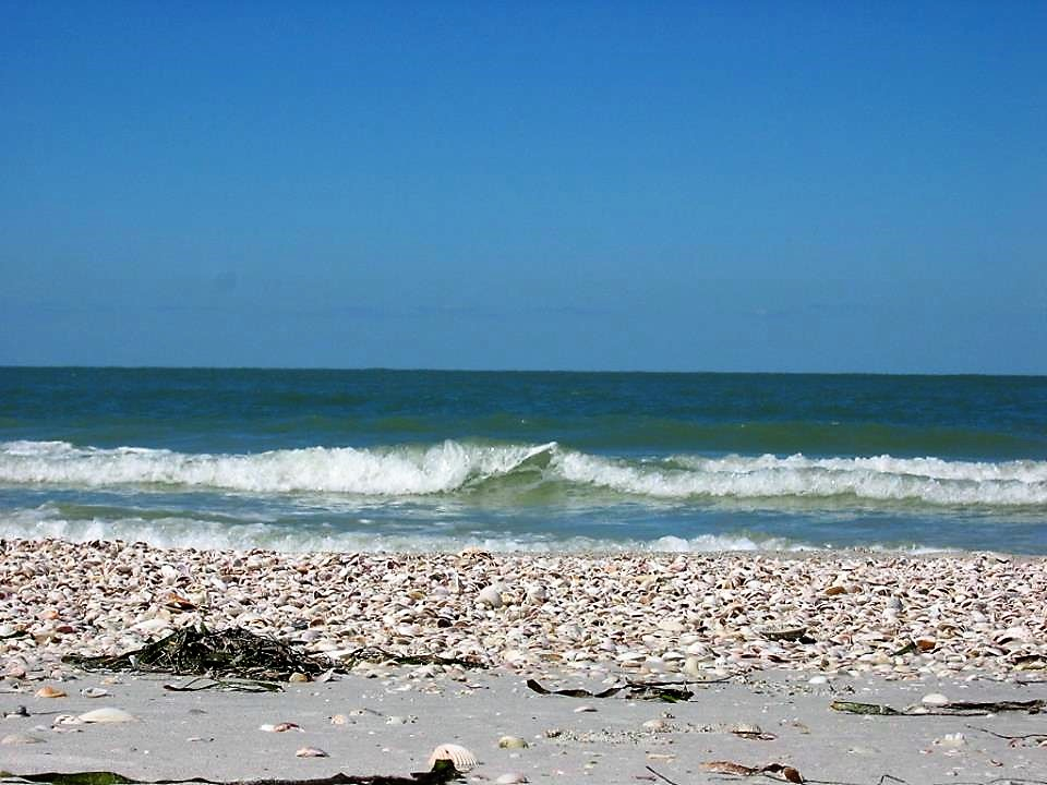 Things To Do In St Pete Clearwater Visit Shell Key