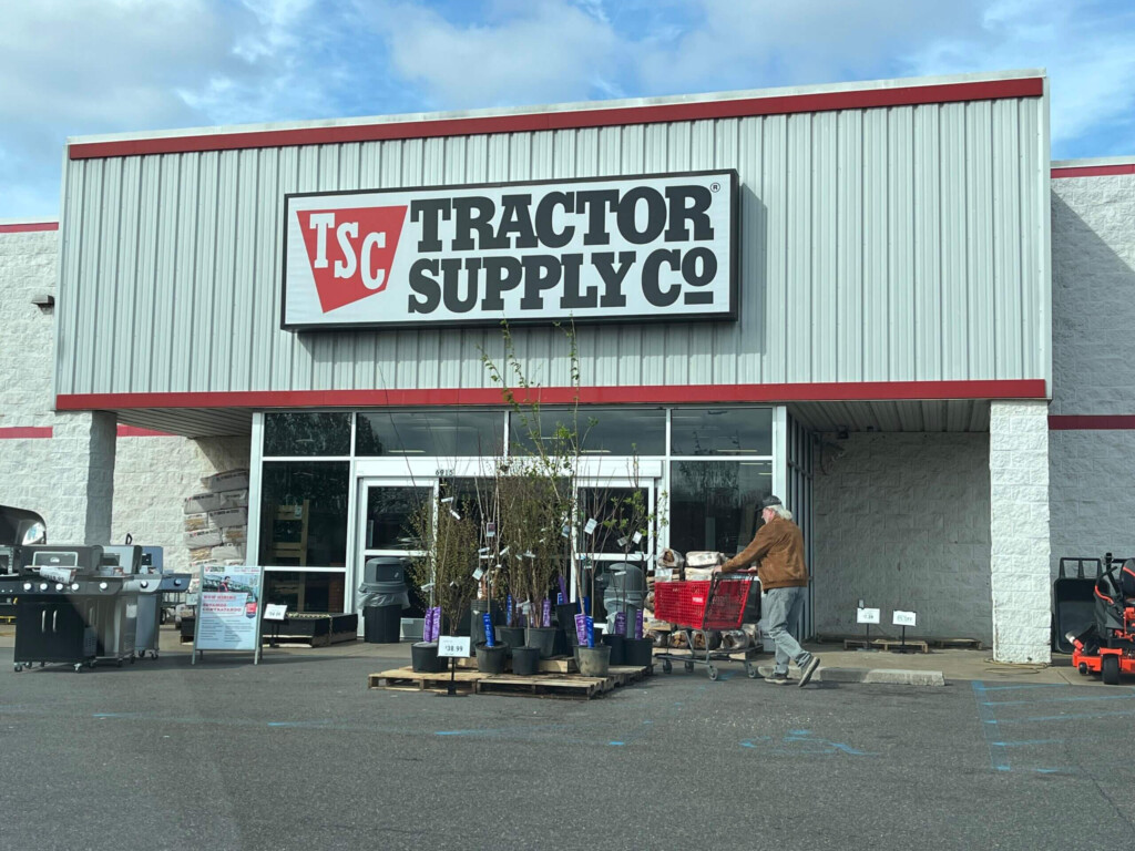 Tractor Supply Pet Adoption Day 2025 Addy Crystie