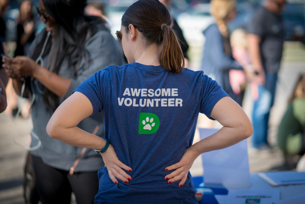 Volunteer Dallas Pets Alive 