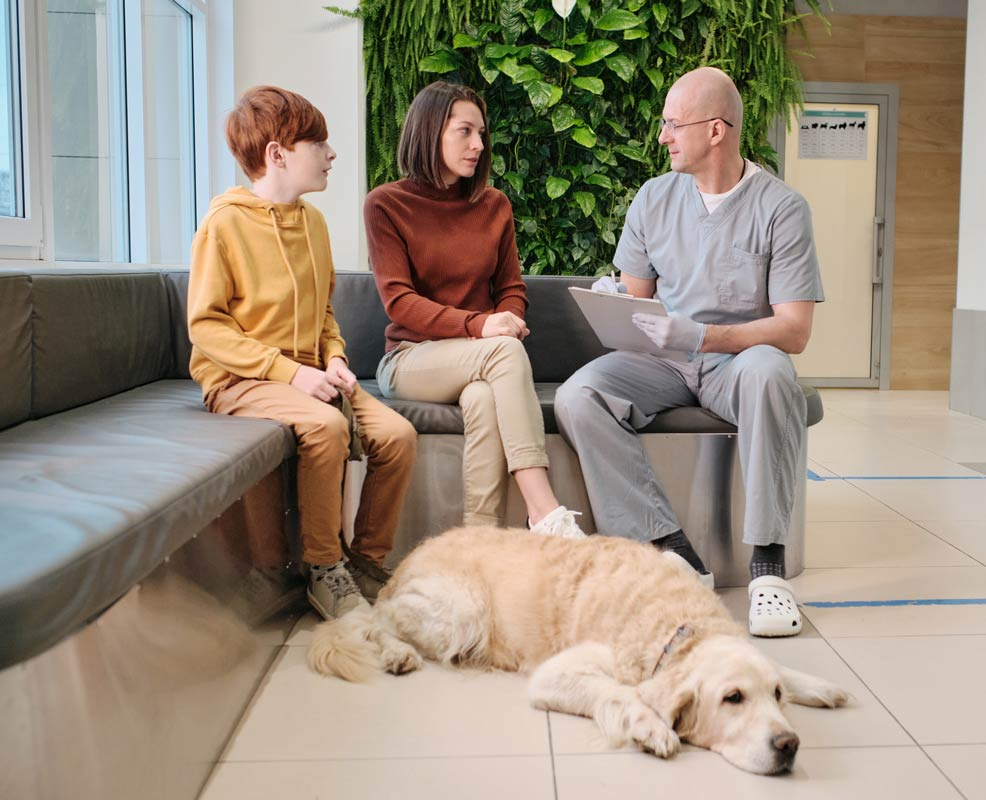 Why Words Matter Vet And Pet Owner Communication Vet Advantage