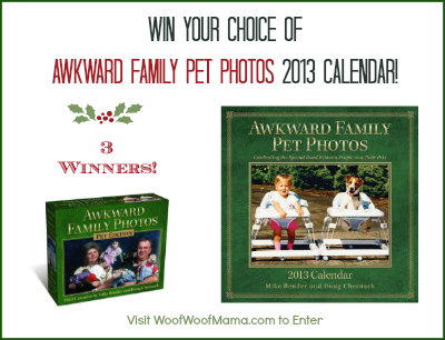 Win A Hilarious Awkward Family Pet Photos 2013 Calendar Woof Woof Mama